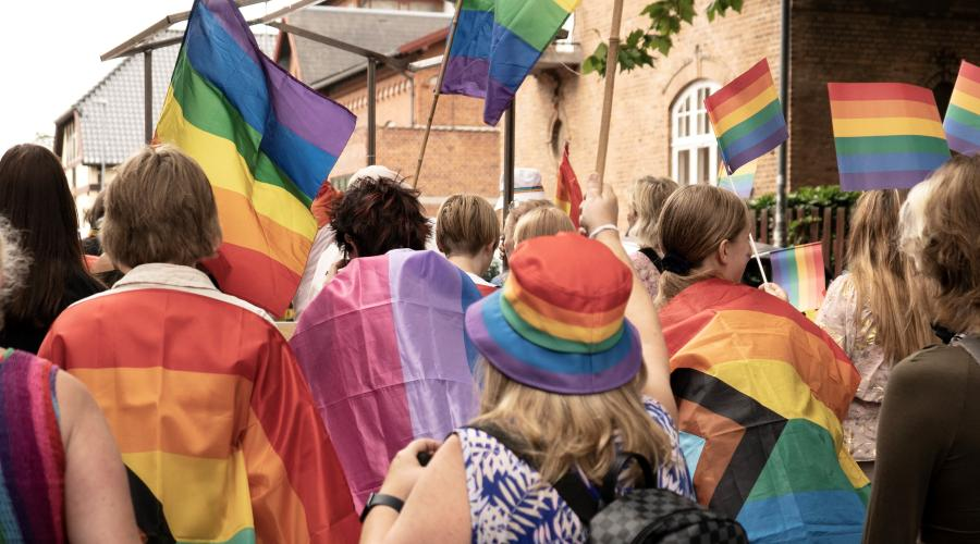 Folk med prideflag